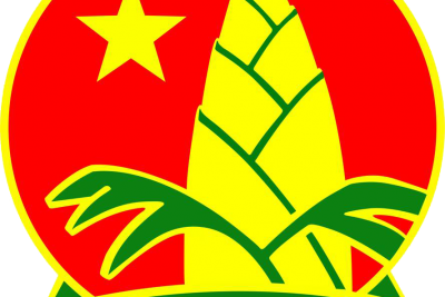Điều lệ Đội Thiếu niên Tiền phong Hồ Chí Minh mới nhất!